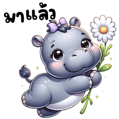 cute -hippo