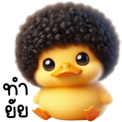 Duck Yellow afro