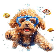 Toy Poodle Puppy | Summer | No Text