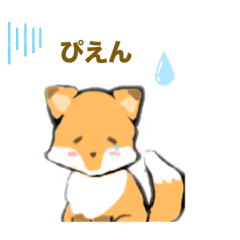 なきむしこんち