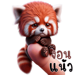 Red panda - small cute