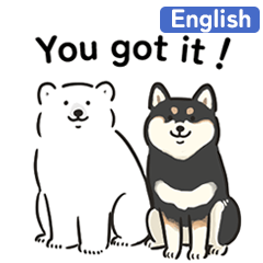 For all polar bear lovers!19-English-