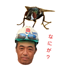 Masahito_20240611160524