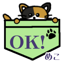 Meko's Pocket Cat's
