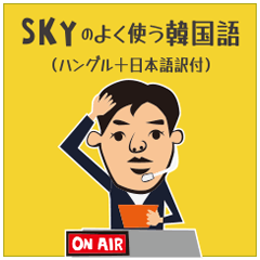 SKYのよく使う韓国語（日本語訳付き）