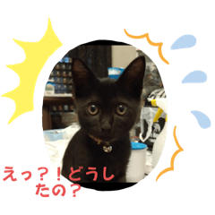 BOYZ20133_20240611224745