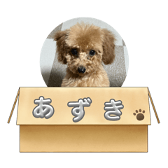 Junko_20240612073705