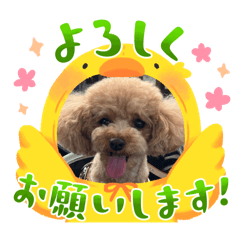 Komugi and Yuzu