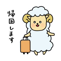 Sheep came back from Paris "Chee" (1)