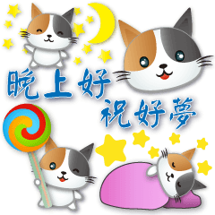 Calico cat - daily practical greetings