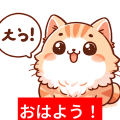 Let's Greet with Cute Cat Stickers!