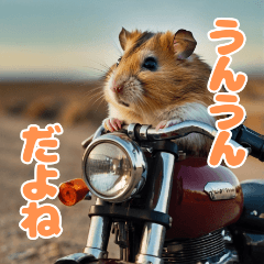 Hamster on a big motorbike