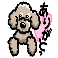 Our idol dog
