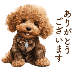 Cute Puppy | Toy poodle | Business
