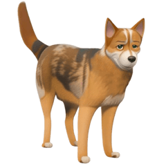 CG mixed dog who is good at listening