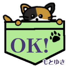 Motoyuki's Pocket Cat's