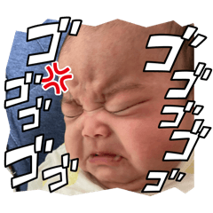 tanuki_20240612193457