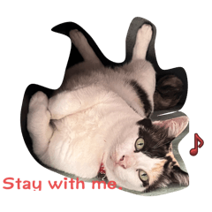 Ruby Happy – LINE stickers | LINE STORE