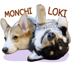 MONCHI&LOKI