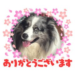 yokko_20240612223608