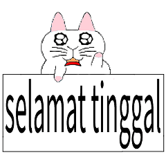 Indonesia-Indonesian-Kucing lucu