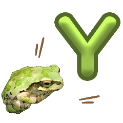 Wild frog 20