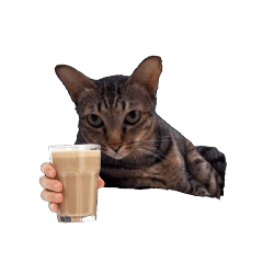Wild alien cat