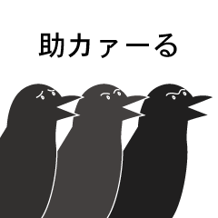three crows