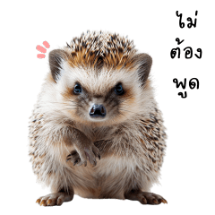 Hedgehog; thorny hair
