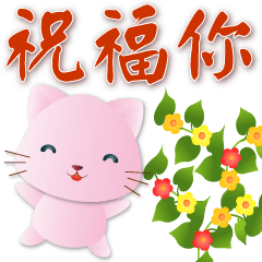 Cute pink cat--useful phrases