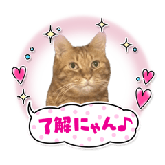kay_20240613225359