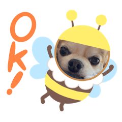 mush_20240614133312