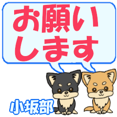 Kosakabe's letters Chihuahua2
