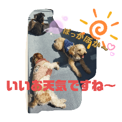 Junko_20240614144559