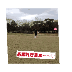 aaron_20240614135200