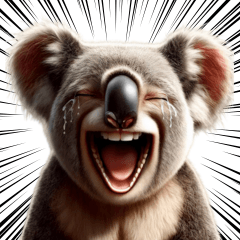 Hilarious Koala Meme