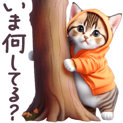 Chubby Kitten Stickers Hoodie/Status