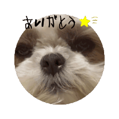 chiitan_20240614215130