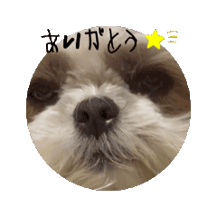 chiitan_20240614215357