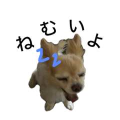 rukina_20240615000523