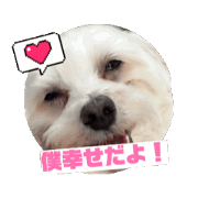 chobisuke_20240615104402