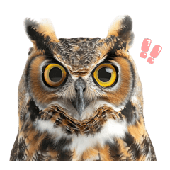 Great Horned Owl, Big Eyed Owl