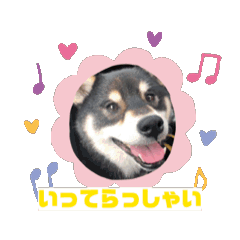 toranosuke_20240615215326