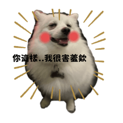 伊奴系列