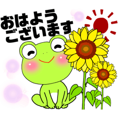 Mr. Frogの日常夏