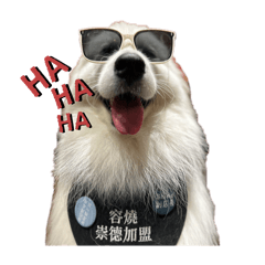西摩系列