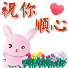 Cute pink rabbit- practical every day