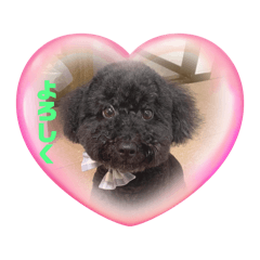 ベースの楽しみ