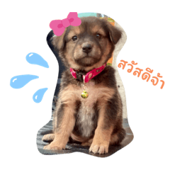 ChaKhaMoo_20240616000851