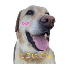 Nanooooo_20240614221155